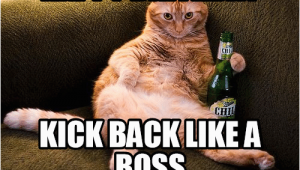 Happy Birthday Memes for Boss 20 Cat Birthday Memes that are Way too Adorable