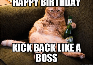 Happy Birthday Memes for Boss 20 Cat Birthday Memes that are Way too Adorable
