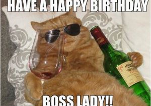 Happy Birthday Memes for Boss It 39 S the Head Cat 39 S Birthday thecatsite