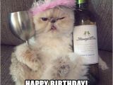 Happy Birthday Memes with Cats 20 Cat Birthday Memes that are Way too Adorable