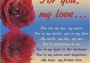 Happy Birthday My Love Quotes for Him Happy Birthday Love Quotes Messages 2015 2016