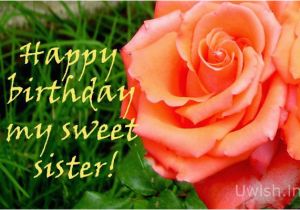 Happy Birthday My Sweet Sister Quotes Happy Birthday My Sweet Sister with Rose Uwish Wishes