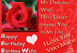 Happy Birthday Quote to Wife Birthday Quotes for Wife Quotesgram