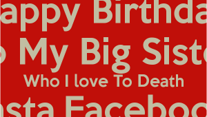 Happy Birthday Quotes for Big Sister Big Sister Birthday Quotes Quotesgram