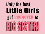 Happy Birthday Quotes for Big Sister Big Sister Quotes Happy Birthday Quotesgram