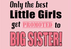 Happy Birthday Quotes for Big Sister Big Sister Quotes Happy Birthday Quotesgram