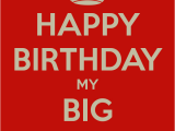 Happy Birthday Quotes for Big Sister Big Sister Quotes Quotesgram