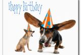 Happy Birthday Quotes for Dogs 6 Happy Birthday Quotes for Dogs Quotesgram