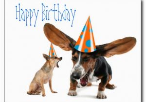 Happy Birthday Quotes for Dogs 6 Happy Birthday Quotes for Dogs Quotesgram