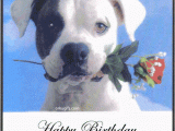 Happy Birthday Quotes for Dogs Happy Birthday Quotes for Dogs Quotesgram