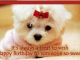 Happy Birthday Quotes for Dogs Happy Birthday Quotes for Dogs Quotesgram