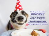 Happy Birthday Quotes for Dogs topic Birthday Quotes Wishes and Happy Birthday Images Quotes