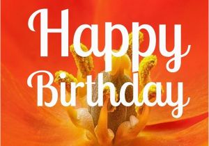 Happy Birthday Quotes for Loved Ones Best Happy Birthday In Heaven Wishes for Your Loved Ones