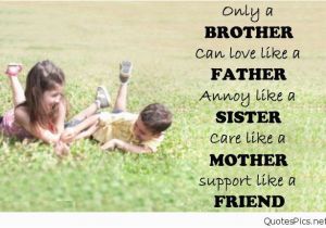 Happy Birthday Quotes for Sister From Brother the 50 Happy Birthday Brother Wishes Quotes and Messages