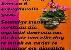 Happy Birthday Quotes In Afrikaans 236 Best Afrikaans Verjaarsdag Wense Images by Amanda