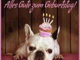 Happy Birthday Quotes In German Birthday Wishes In German Page 10