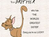 Happy Birthday Quotes to Brother From Sister 25 Best Ideas About Birthday Wishes for Brother On