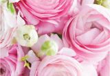 Happy Birthday Quotes with Flowers 60 Best Happy Birthday Flowers Images On Pinterest