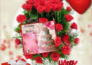 Happy Birthday Rose Quotes 41 Best Happy Birthday Imajines Images On Pinterest