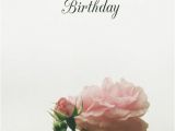 Happy Birthday Rose Quotes Happy Birthday Quotes with Roses Quotesgram