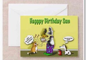 Happy Birthday son In Law Funny Quotes Funny Happy Birthday Quotes for son In Law Image Quotes at