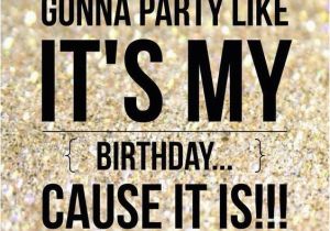 Happy Birthday to Me Quotes Funny 25 Happy Birthday Funny Quotes Quotes Words Sayings