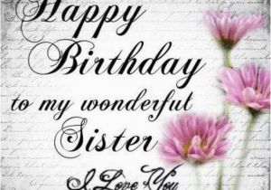 Happy Birthday to My Baby Sister Quotes Happy Birthday to My Wonderful Sister Pictures Photos