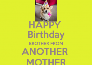Happy Birthday to My Brother From Another Mother Quotes She Did It Quotes Quotesgram