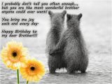 Happy Birthday to My Brother Funny Quotes Happy Birthday to My Dear Brother Pictures Photos and