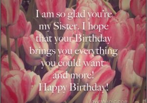 Happy Birthday to My Sister Quotes and Images Happy Birthday to My Sister Pictures Photos and Images