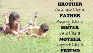 Happy Birthday to Sister From Brother Quotes the 50 Happy Birthday Brother Wishes Quotes and Messages