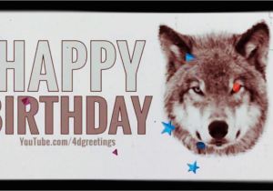 Happy Birthday Virtual Cards Happy Birthday Wolf Virtual Birthday Card Youtube