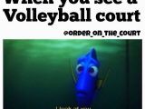 Happy Birthday Volleyball Quotes Volleyball Quotes and Jokes Quotesgram