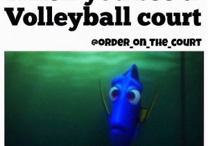 Happy Birthday Volleyball Quotes Volleyball Quotes and Jokes Quotesgram
