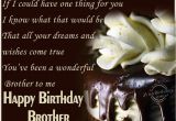 Happy Birthday Wishes to Brother Quote Birthday Wishes for Brother Quotes Quotesgram