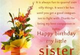 Happy Birthday Younger Sister Quotes Happy Birthday Sister Quotes and Wishes