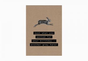 Hare Birthday Cards Another Grey Hare Birthday Card From Mollie Fred Uk