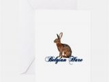 Hare Birthday Cards Belgian Hare Stationery Cards Invitations Greeting
