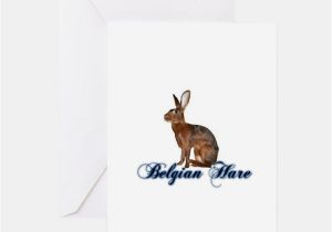 Hare Birthday Cards Belgian Hare Stationery Cards Invitations Greeting