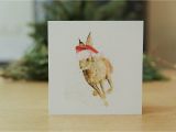 Hare Birthday Cards Hare Christmas Card Festive Hare Greeting Cards by
