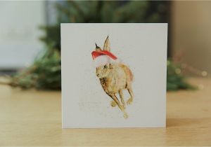 Hare Birthday Cards Hare Christmas Card Festive Hare Greeting Cards by