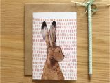 Hare Birthday Cards Recycled Hare Greeting Card by Stephanie Cole Design