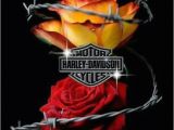 Harley Davidson Happy Birthday Cards 66 Best Images About Birthday On Pinterest Rock Stars