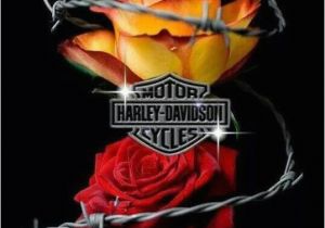 Harley Davidson Happy Birthday Cards 66 Best Images About Birthday On Pinterest Rock Stars