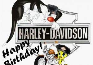 Harley Davidson Happy Birthday Cards 702 Best Birthdays Get Well Anniversary Ect Images On