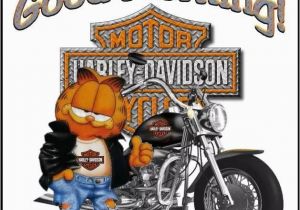 Harley Davidson Happy Birthday Meme 186 Best Harley Goodmorning Images On Pinterest Good