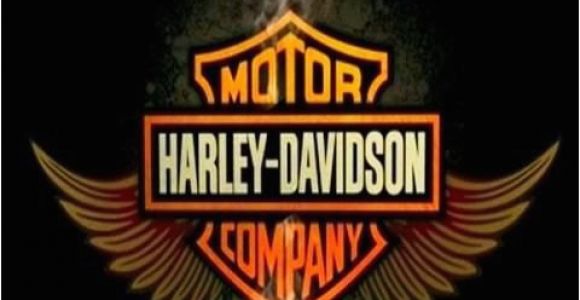 Harley Davidson Happy Birthday Meme Happy Birthday Harley Davidson Harley Davidson Pics