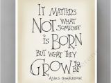 Harry Potter Happy Birthday Quotes Best 25 Harry Potter Birthday Quotes Ideas On Pinterest