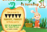 Harry the Bunny Birthday Invitations Tabahbhadrika 1st Birthday Party Invitation Harry the