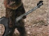 Heavy Metal Birthday Meme the Ultimate College Party Playlist